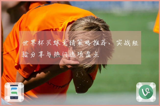 世界杯买球竞猜策略推荐，实战经验分享与热门选项盘点
