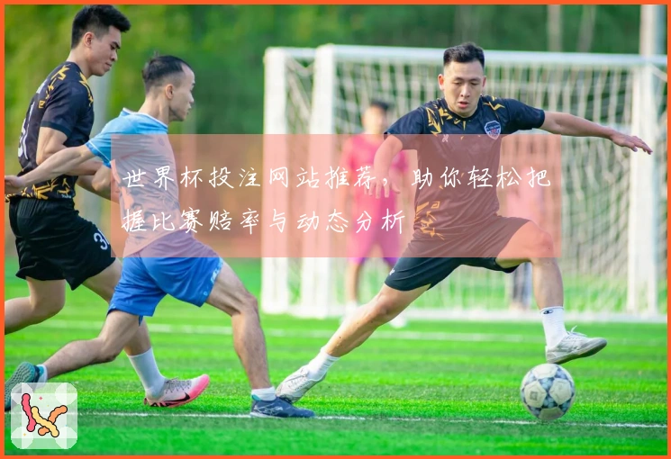世界杯投注网站推荐，助你轻松把握比赛赔率与动态分析