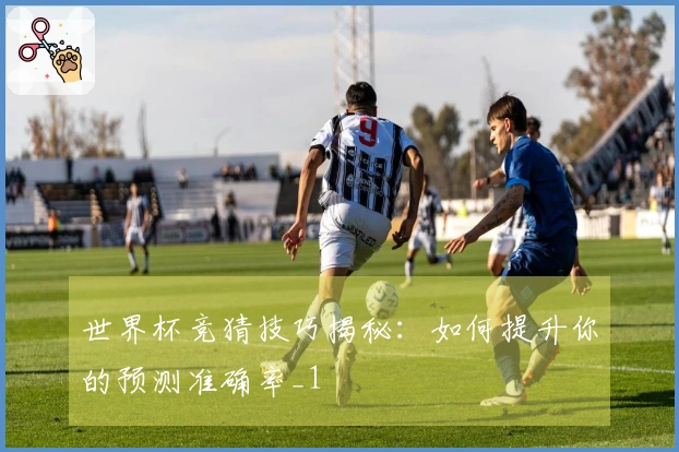 世界杯竞猜技巧揭秘：如何提升你的预测准确率_1
