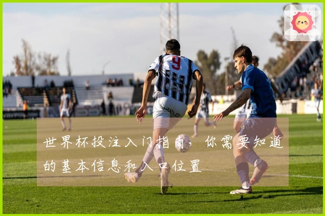 世界杯投注入门指南，你需要知道的基本信息和入口位置