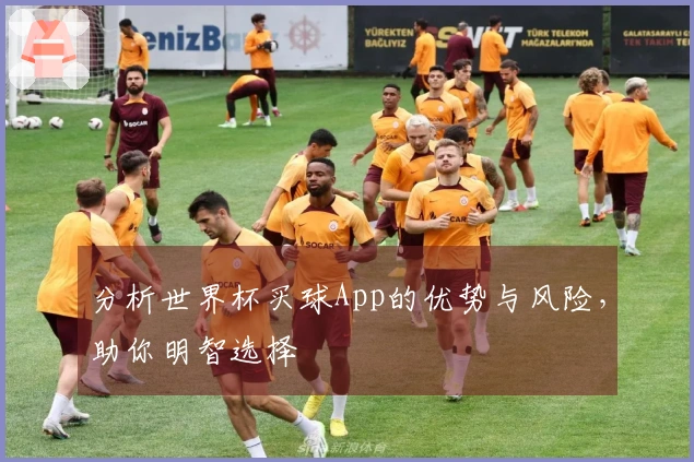 分析世界杯买球App的优势与风险，助你明智选择
