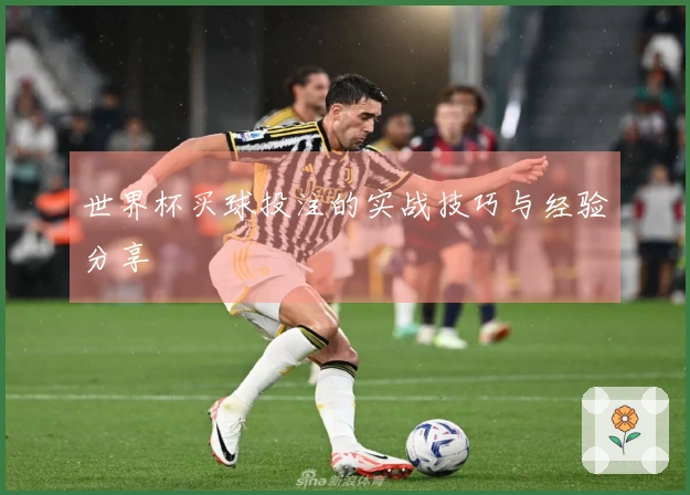 世界杯买球投注的实战技巧与经验分享