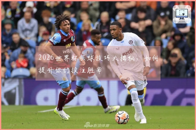 2026世界杯买球技巧大揭秘，如何提升你的投注胜率