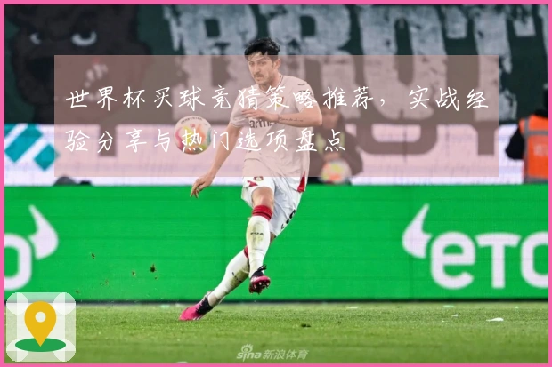 世界杯买球竞猜策略推荐，实战经验分享与热门选项盘点