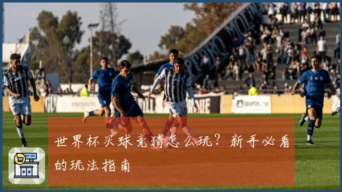 世界杯买球竞猜怎么玩？新手必看的玩法指南